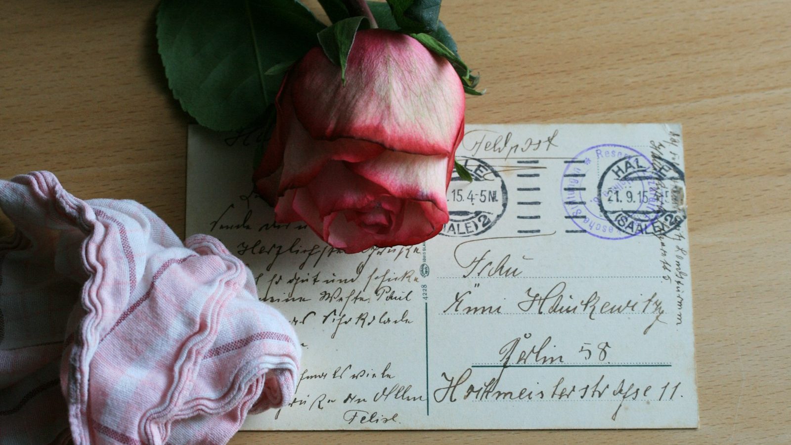 Pink rose resting on a handwritten vintage postcard
