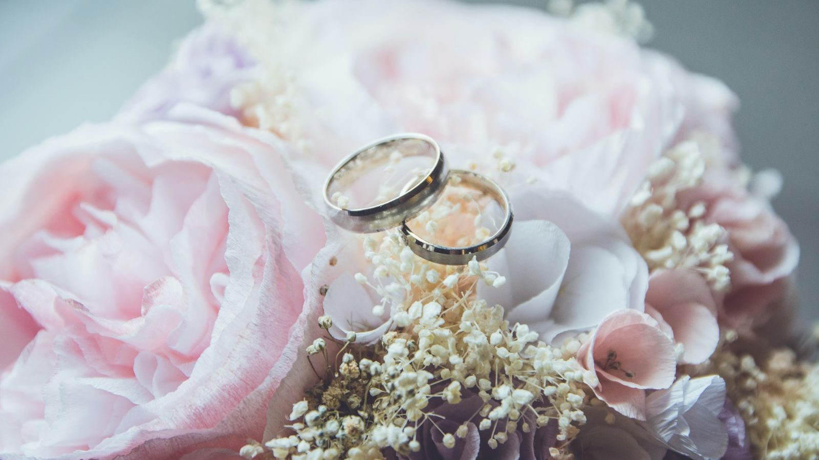 Gold wedding rings resting on soft pink flowers
